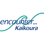 Dolphin Encounter